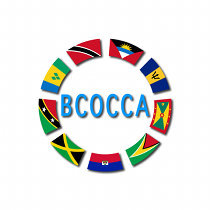 BCOCCA Logo210px shadow