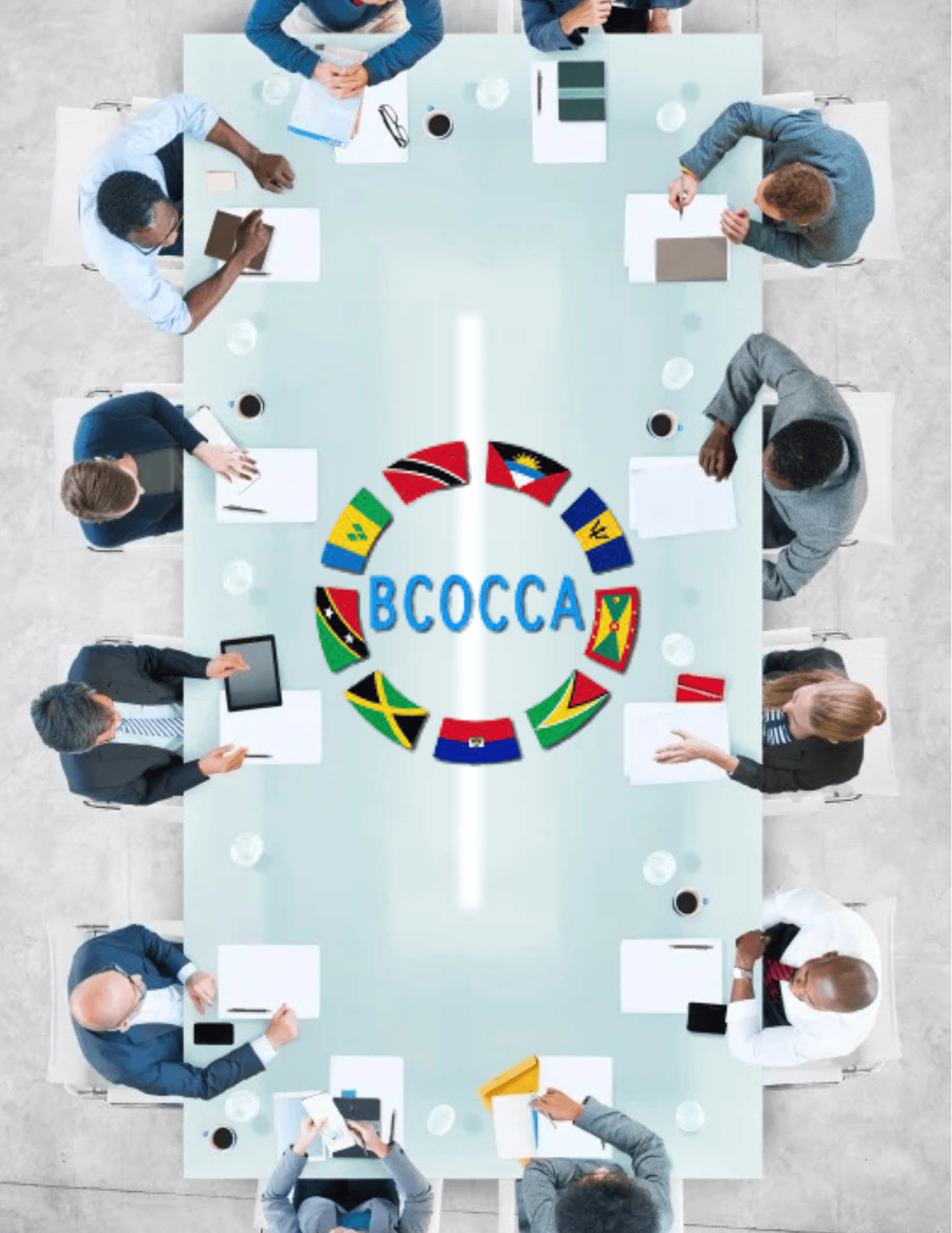 BCOCCA Meeting